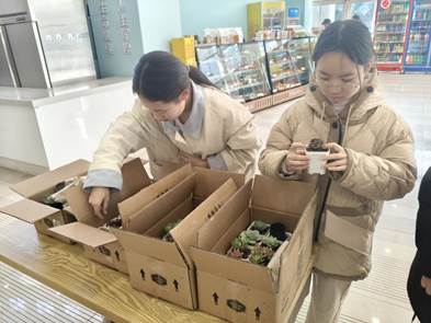 QQ图片20251201091538